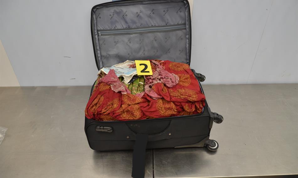 2017-9-27-1340foto 5.jpg